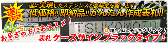 �T���K�[�f���I���W�i���\�D �P�[�X�T�C���V�o��I