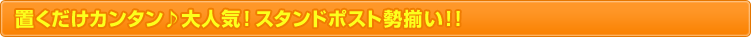 �u�������J���^������l�C�I�X�^���h�|�X�g�������I�I