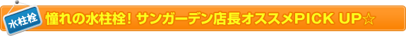 ̐ITK[fXIXXPICK UP