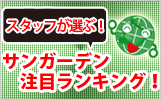 スタッフが選ぶ！カテゴリー別注目ランキング！