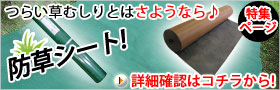 炢ނƂ͂悤Ȃ@hV[g